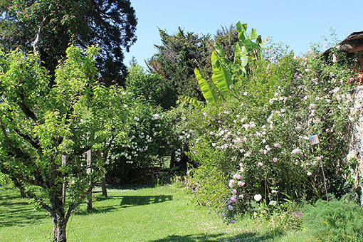 Labeyrie-bnb-garten-hiddenpalm-llr